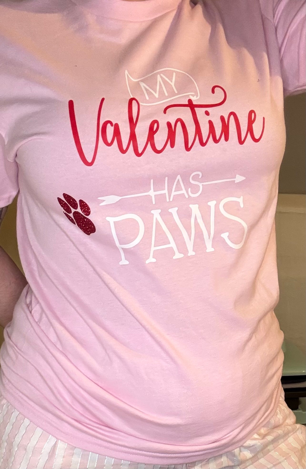 My Valentine Has Paws Valentine T-Shirt